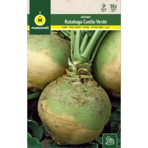 Colinabo rutabaga cuello verde