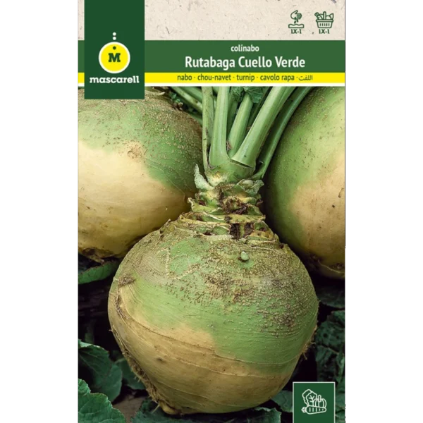 Colinabo rutabaga cuello verde