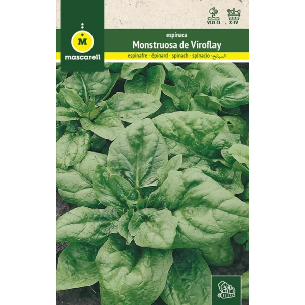 Espinaca monstruosa de Viroflay