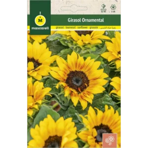Girasol ornamental