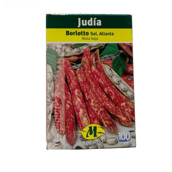 Judía Borlotto Altlanta