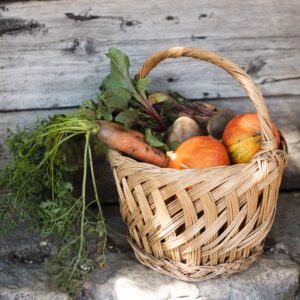 Hortícolas