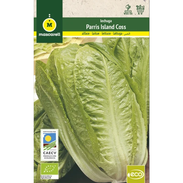 Lechuga Parris Isalnd Coss