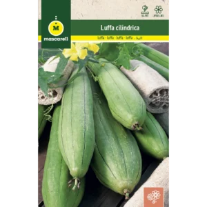 Luffa