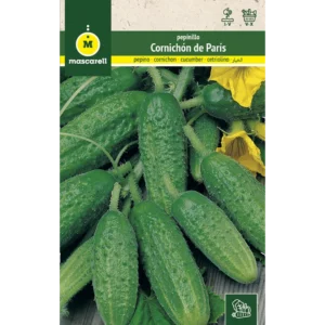 Pepinillo cornichón de parís