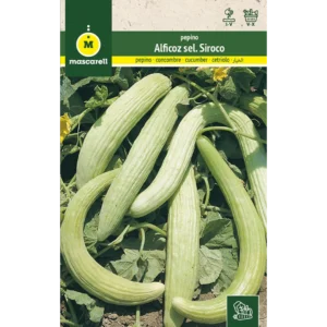 Pepino alficoz Sel. Siroco