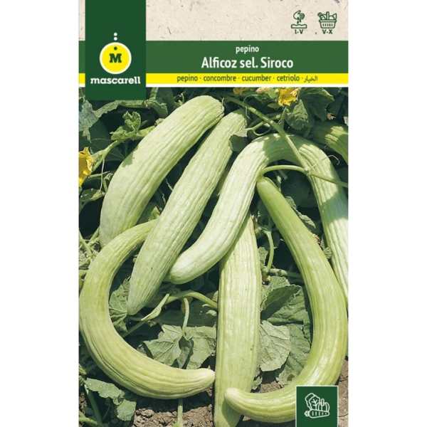 Pepino alficoz Sel. Siroco