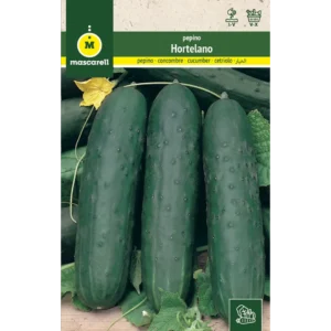 Pepino hortelano
