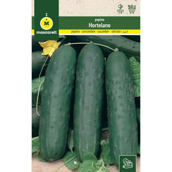 Pepino hortelano