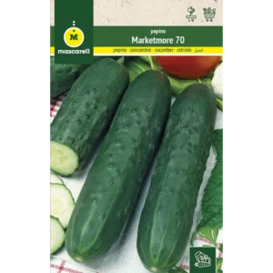 Pepino marketmore