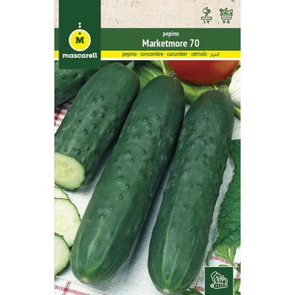 Pepino marketmore