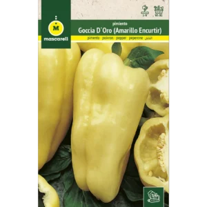 Pimiento amarillo