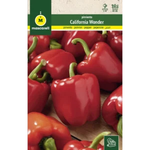 Pimiento California Wonder