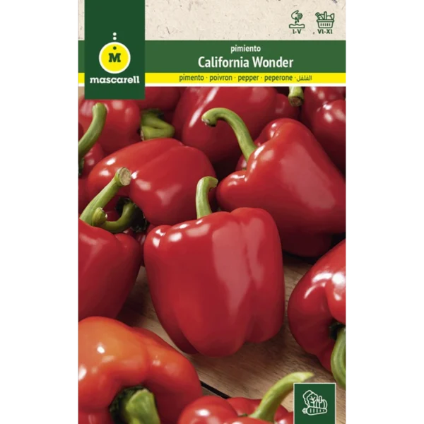 Pimiento California Wonder