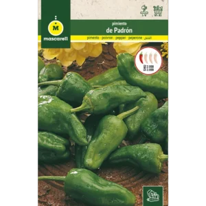 Pimientos de padrón