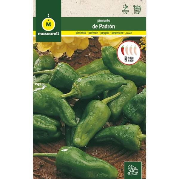 Pimientos de padrón