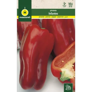 Pimiento infantes