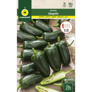 Chile jalapeño