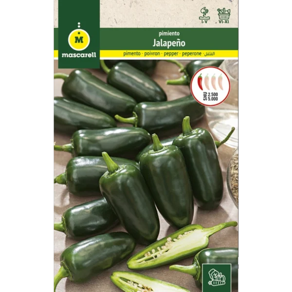 Chile jalapeño
