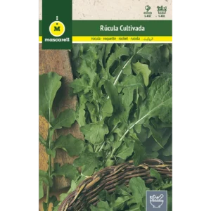 Rúcula cultivada
