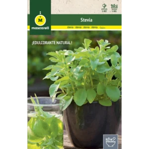 Stevia