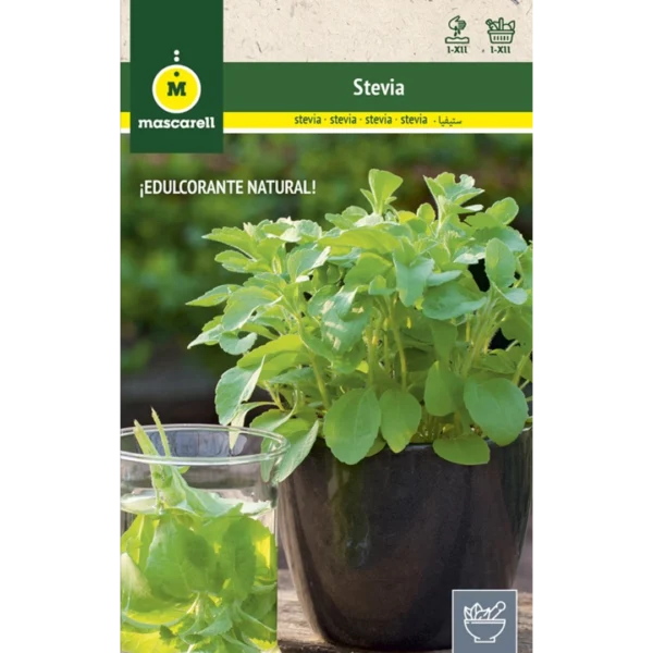 Stevia
