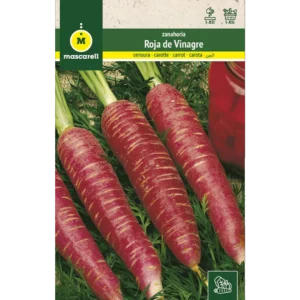 Zanahoria roja de vinagre