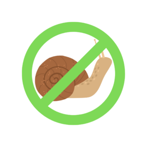 Anticaracoles