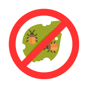 Insecticidas