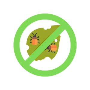 Insecticidas
