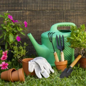 Jardineria domestica