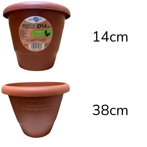 Maceta Gardenia