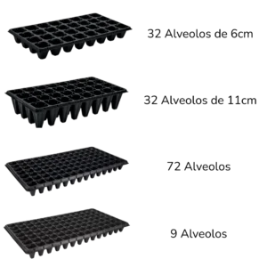Variedades de semilleros