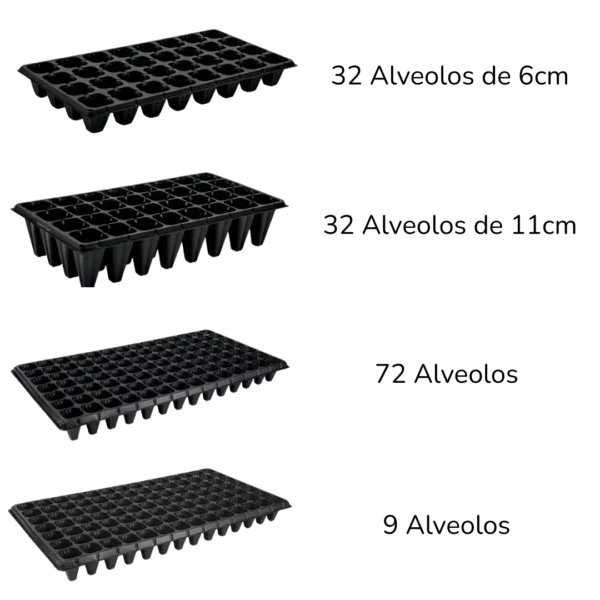 Variedades de semilleros