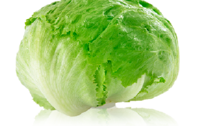 Cómo cultivar lechugas: Guía para el huerto de invierno