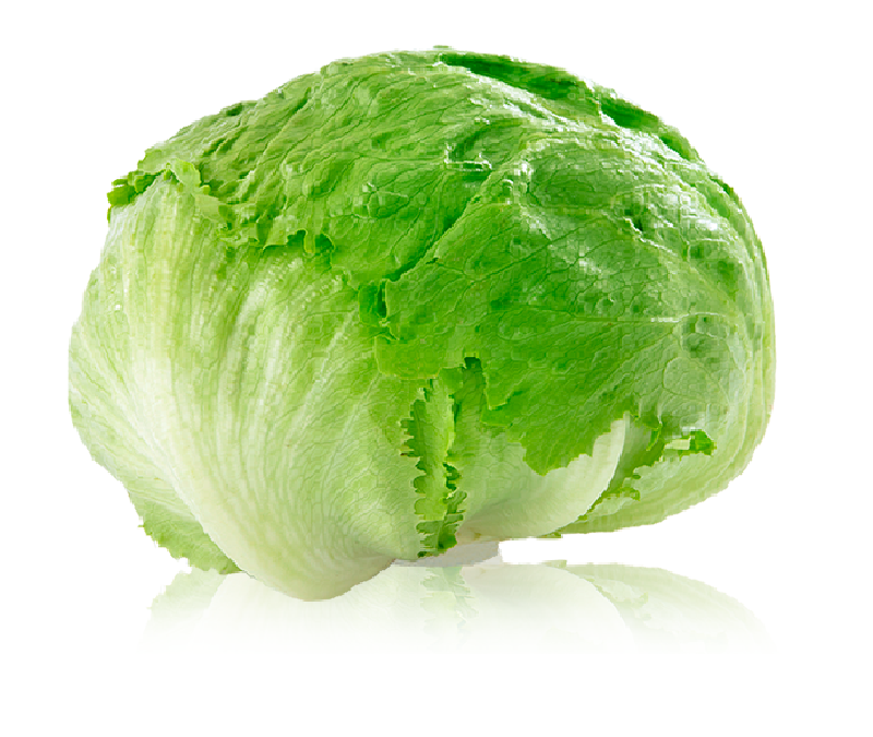 Cómo cultivar lechugas: Guía para el huerto de invierno